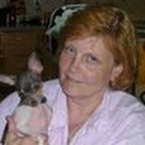 Meet your Posher, Connie